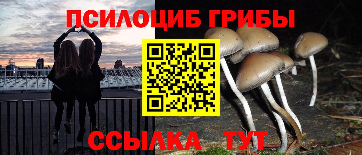 Галлюциногенные грибы прущие грибы Минусинск