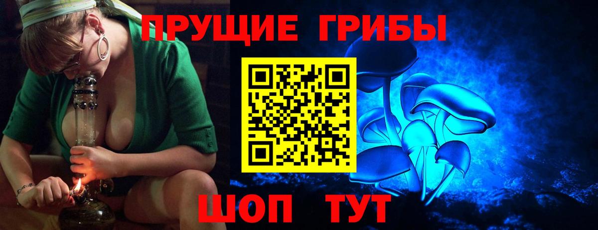 Псилоцибиновые грибы мухоморы  Вход с VPN  Минусинск  купить закладку  Галлюциногенные грибы Cubensis 